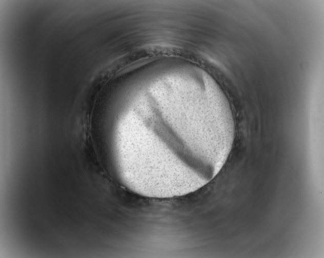 X0000088440870200706121507