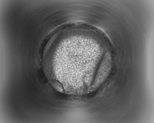 X0000088440871200706121507