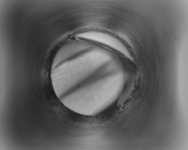 X0000088440872200706121507