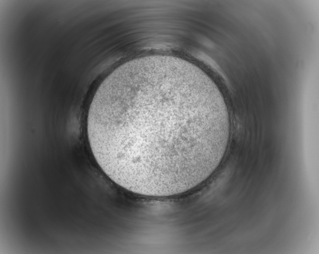 X0000088440874200706121507