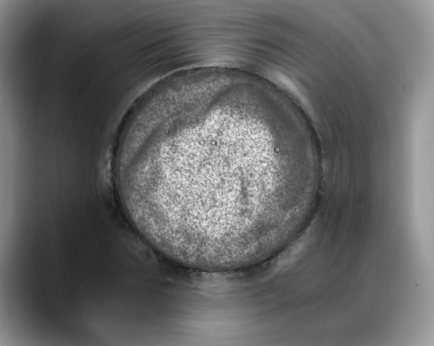 X0000088440875200706121507
