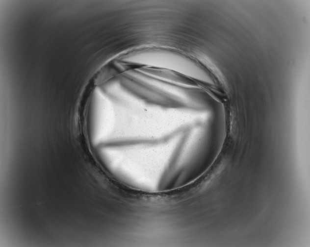 X0000088440876200706121507