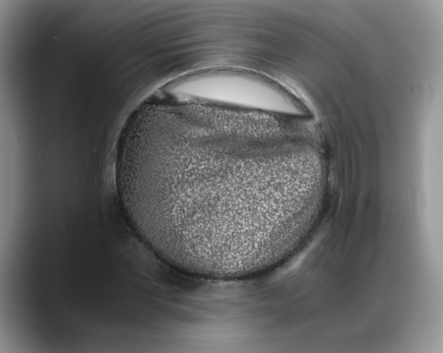X0000088440877200706121507