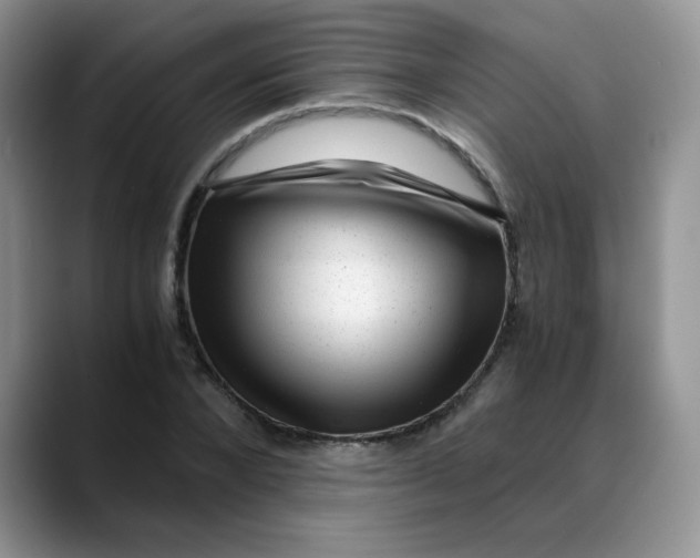 X0000088440880200706121507