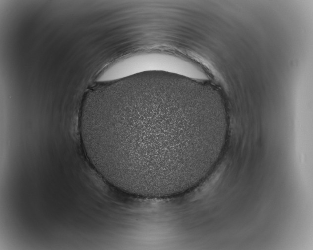 X0000088440881200706121507