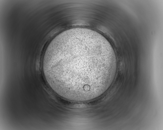 X0000088440882200706121507