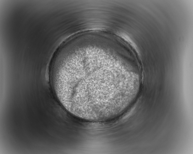 X0000088440883200706121507