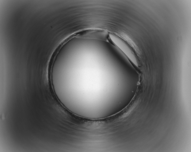 X0000088440884200706121507
