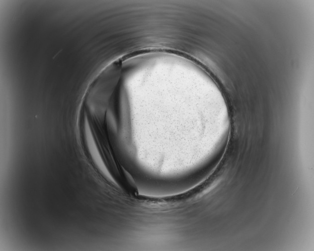 X0000088440885200706121507