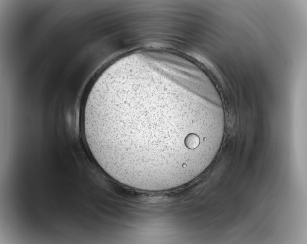 X0000088440886200706121507