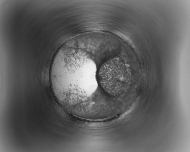 X0000088440889200706121506