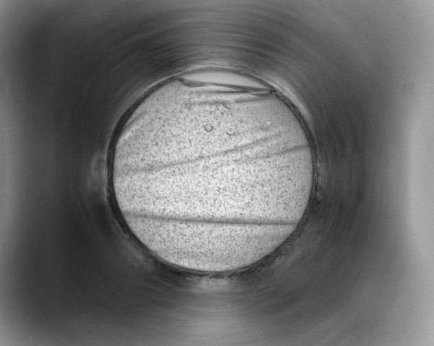 X0000088440890200706121506