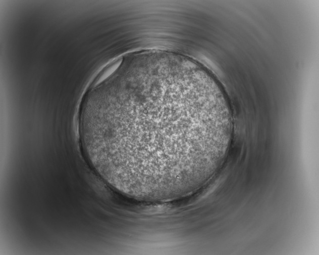 X0000088440891200706121506