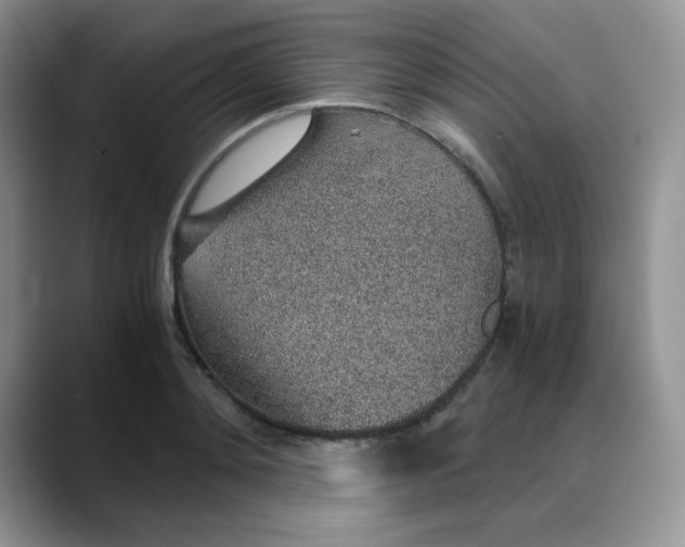 X0000088440892200706121506