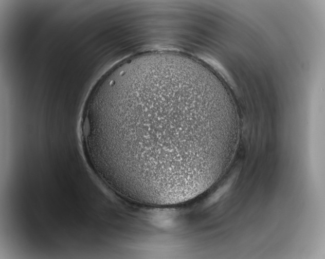 X0000088440893200706121506
