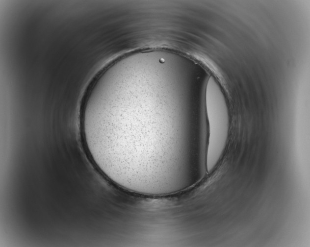 X0000088440894200706121506