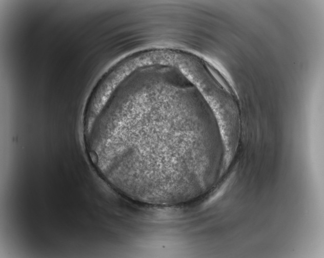 X0000088440895200706121506