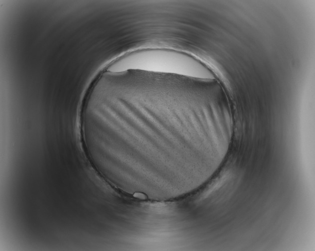 X0000088440896200706121506