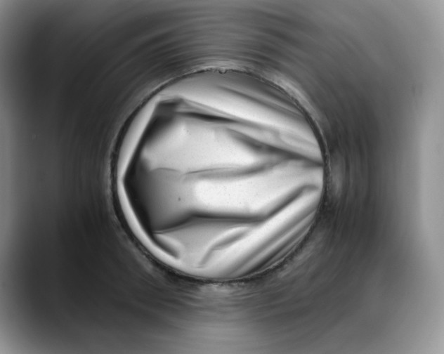 X0000088440898200706121506