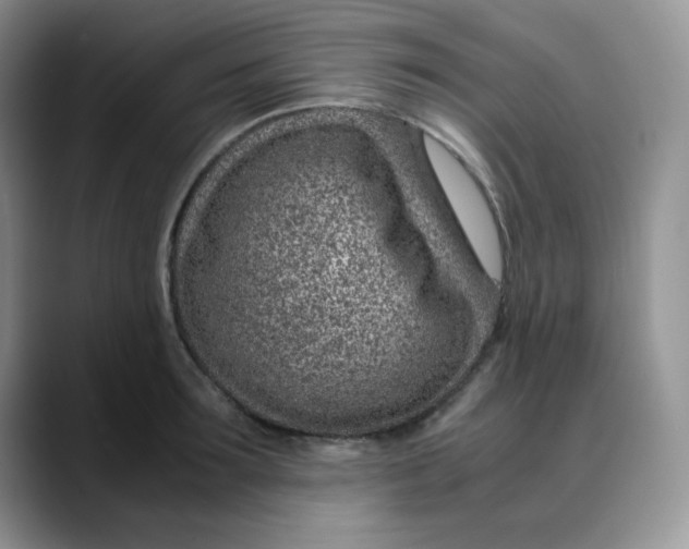 X0000088440899200706121506