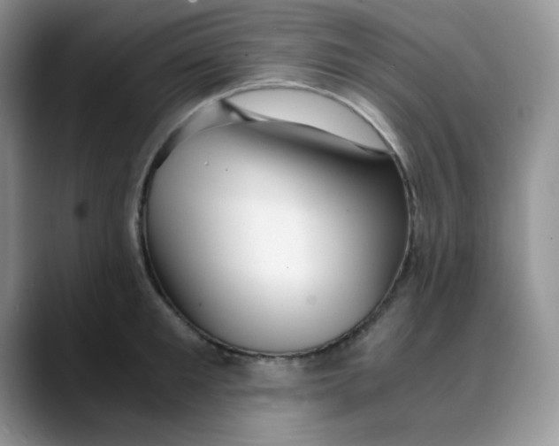 X0000088440901200706121506