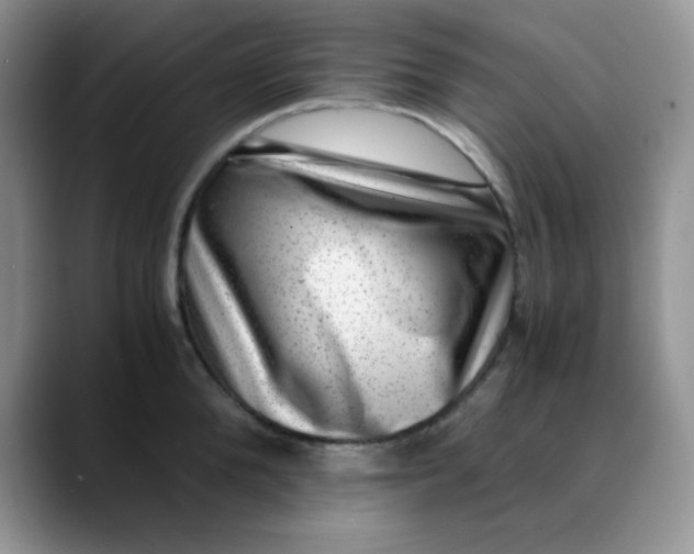 X0000088440904200706121506