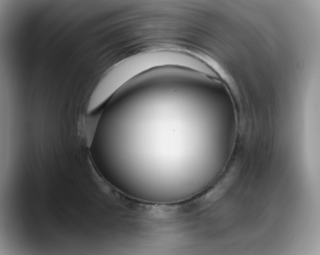 X0000088440905200706121506