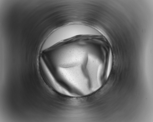 X0000088440906200706121506