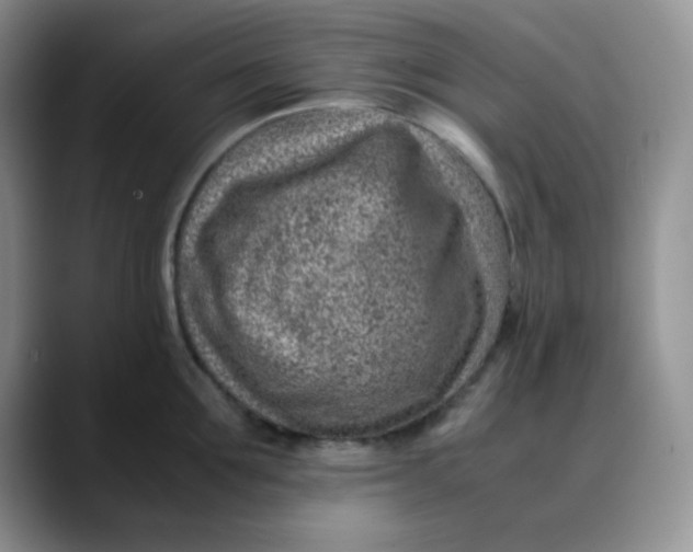 X0000088440907200706121506