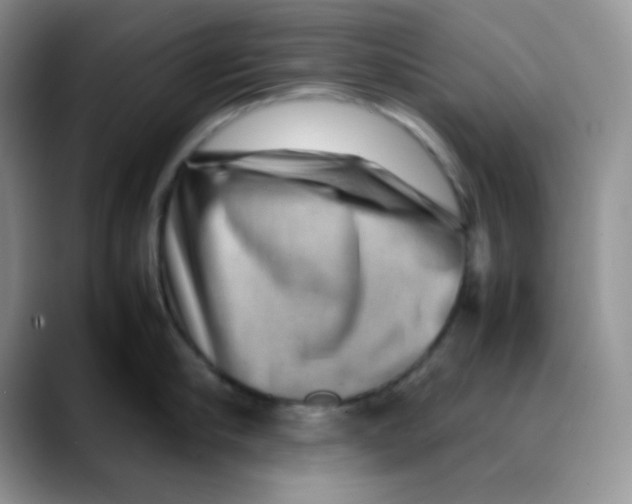X0000088440910200706121506