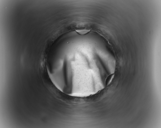 X0000088440914200706121506