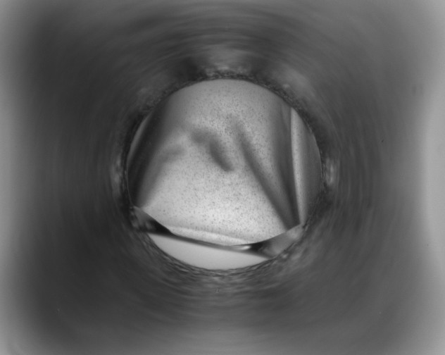 X0000088440915200706121506