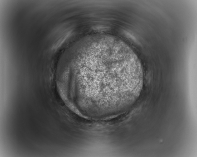 X0000088440917200706121506