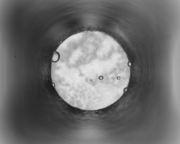 X0000088440918200706121506