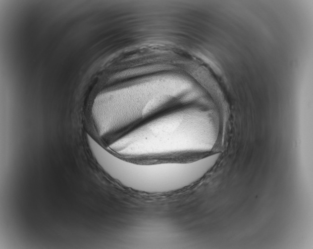 X0000088440920200706121506