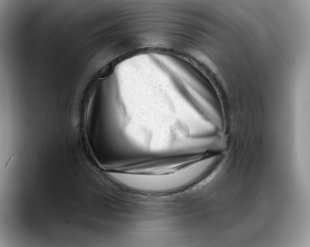 X0000088440922200706121506