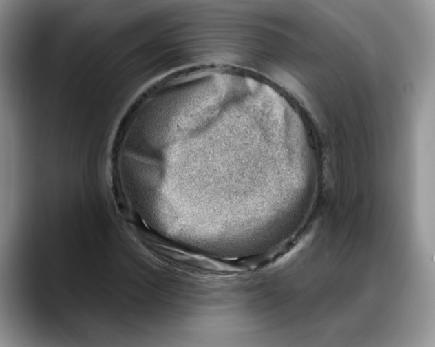 X0000088440924200706121506