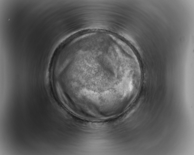 X0000088440928200706121506