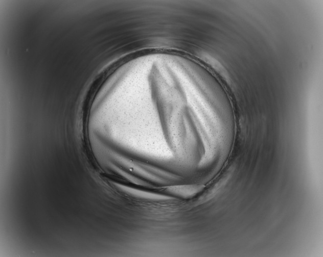 X0000088440931200706121506
