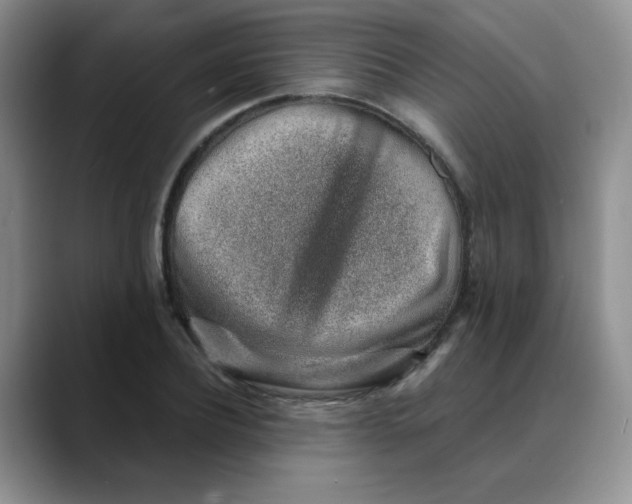 X0000088440932200706121506
