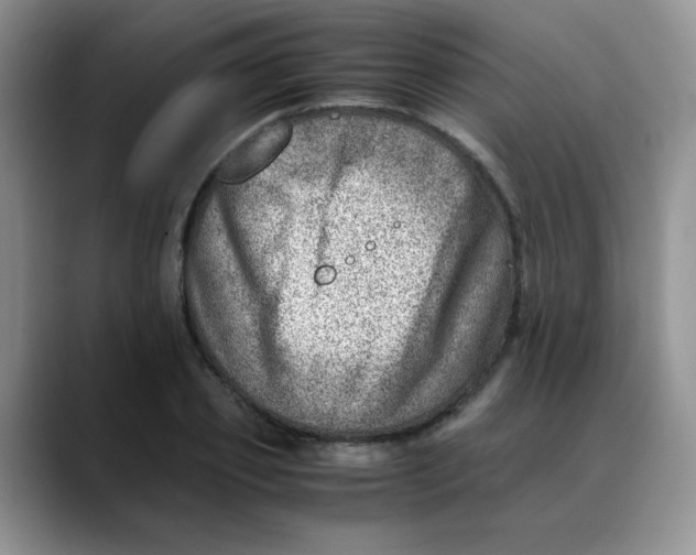 X0000088440933200706121506