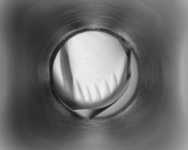 X0000088440934200706121506