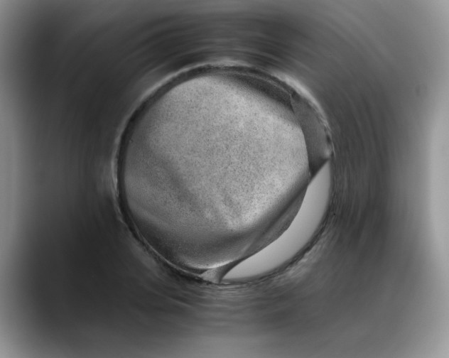 X0000088440935200706121506