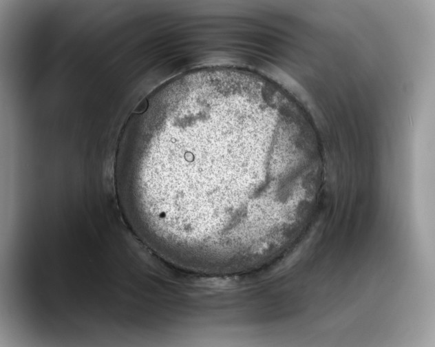 X0000088440937200706121506