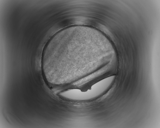 X0000088440938200706121506