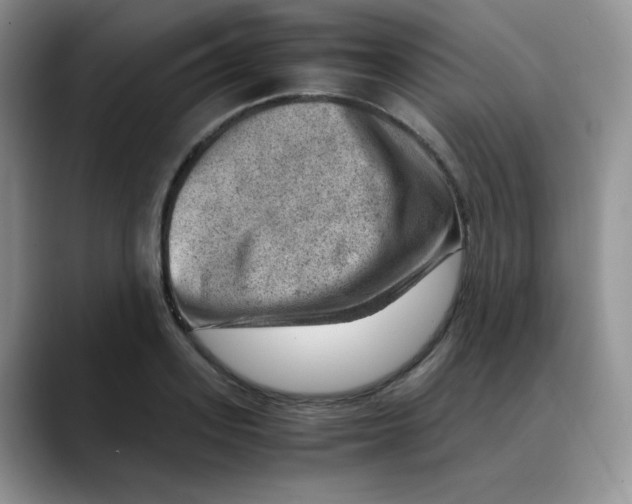 X0000088440939200706121506
