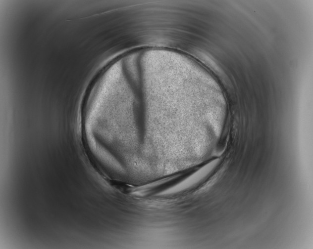 X0000088440940200706121506