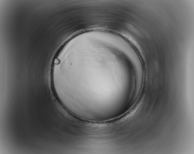 X0000088440941200706121506