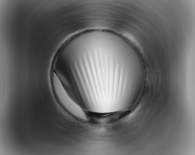 X0000088440942200706121506