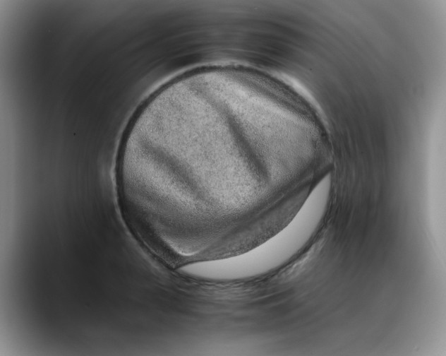 X0000088440943200706121506